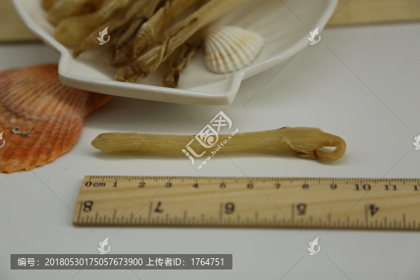沙蟲干