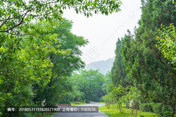 濟(jì)南千佛山綠色隧道,（7）