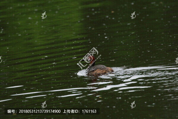 小??