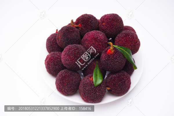 楊梅素材