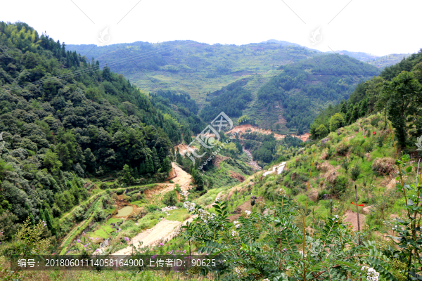 山路,道路,自然,戶外