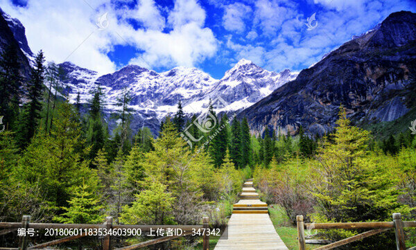 四姑娘山