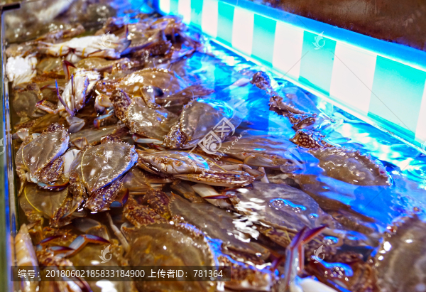 新鲜海蟹
