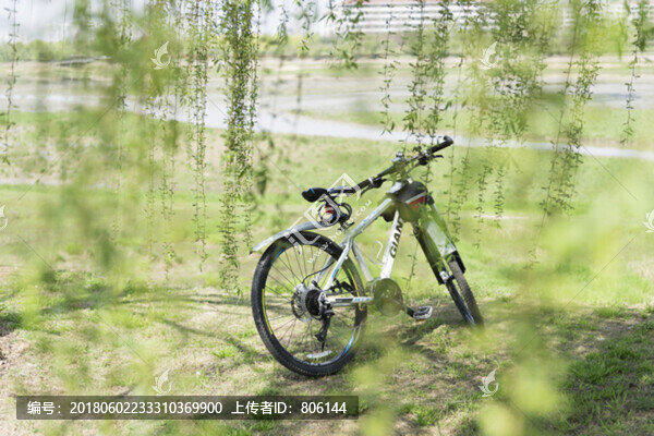 垂柳與自行車(chē)