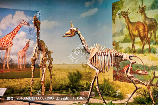 4000萬像素,展館設(shè)計(jì)