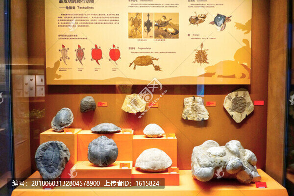 4000萬(wàn)像素,展館設(shè)計(jì)