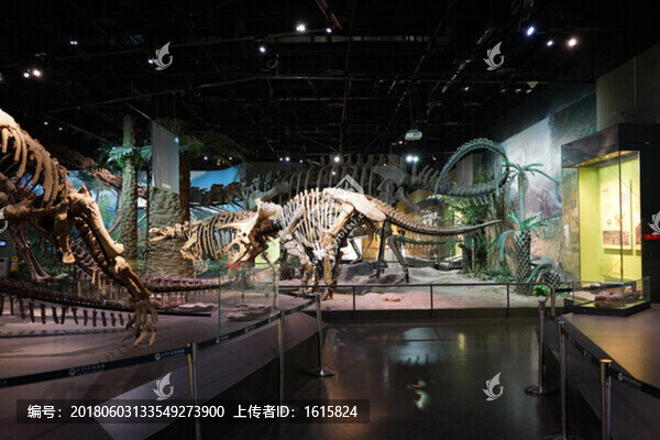 4000萬(wàn)像素,展館設(shè)計(jì)