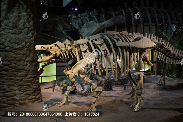 4000萬像素,展館設(shè)計