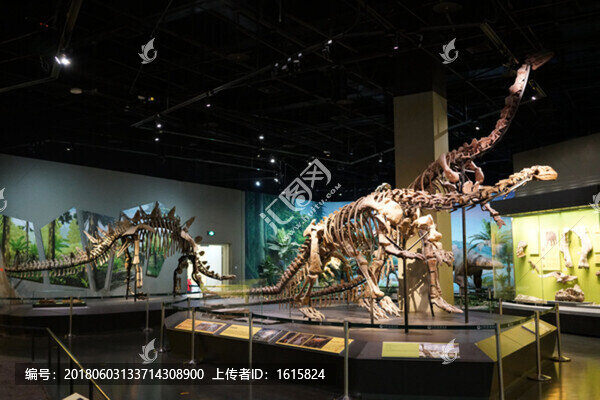 4000萬(wàn)像素,展館設(shè)計(jì)