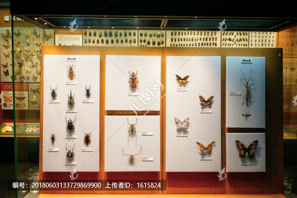 4000萬(wàn)像素,展館設(shè)計(jì)