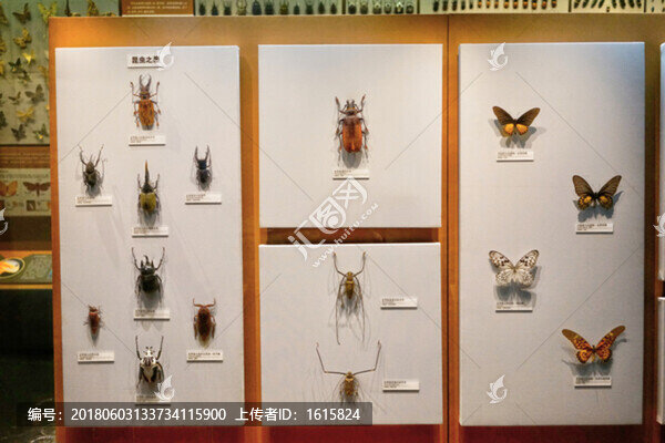 4000萬像素,展館設(shè)計(jì)