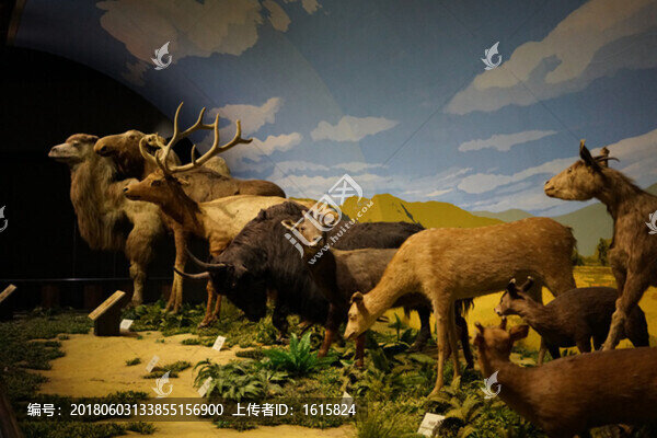 4000萬像素,展館設(shè)計