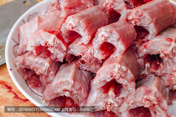 野生蛇肉