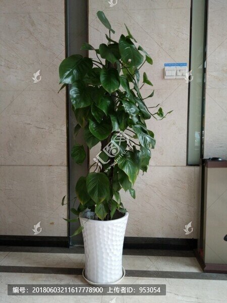 家具,時(shí)常家居,店面設(shè)計(jì),工藝
