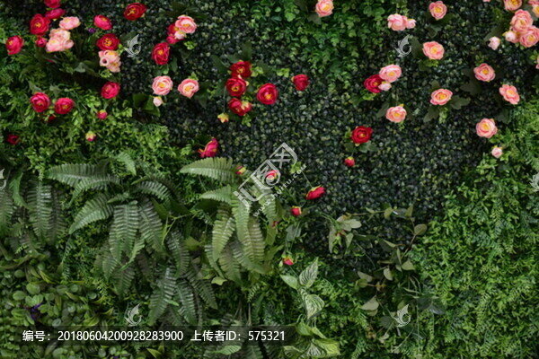 鮮花植物背景墻