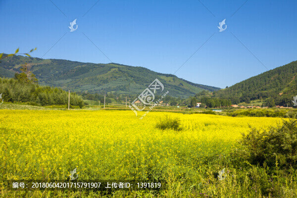承德,圍場,田園風(fēng)光