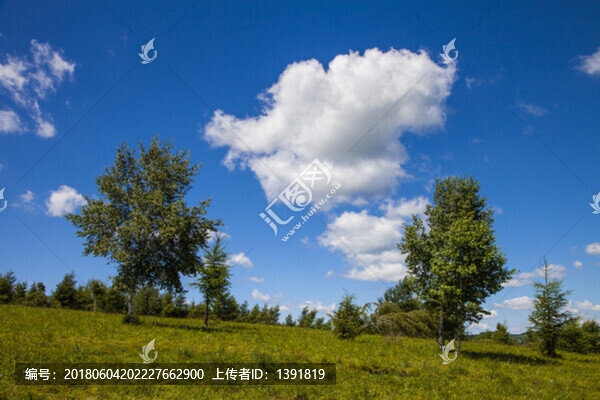 承德,圍場,塞罕壩國家森林公園