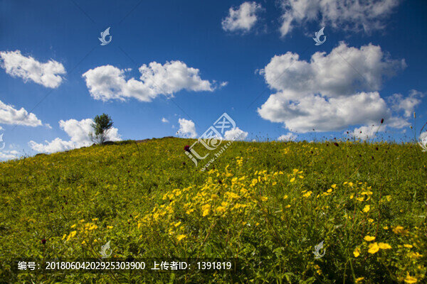 承德,圍場(chǎng),塞罕壩國(guó)家森林公園