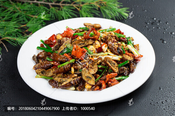 干煸大蛹