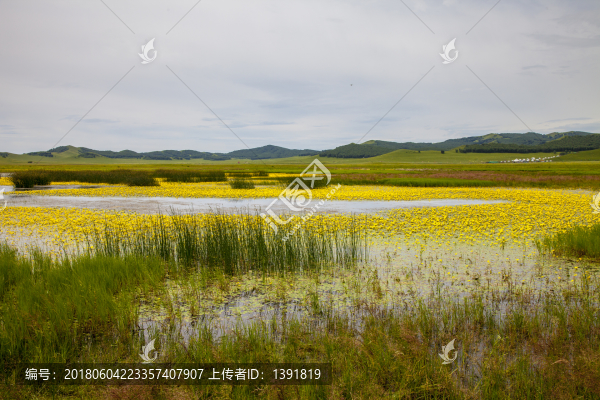 烏蘭布統(tǒng)旅游景區(qū),圍場(chǎng)壩上草原