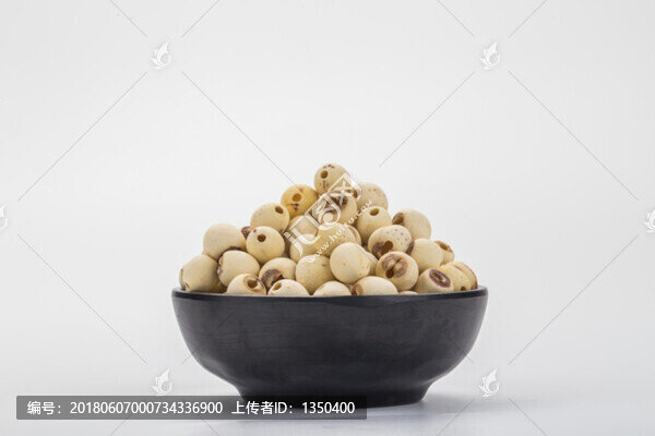 鉆芯白蓮