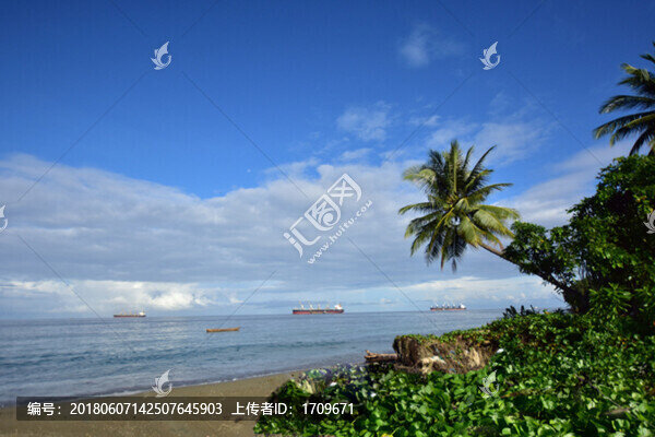 椰樹海邊