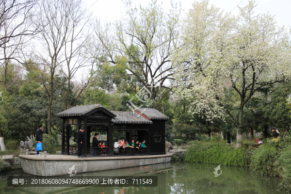 合肥包河公園春天