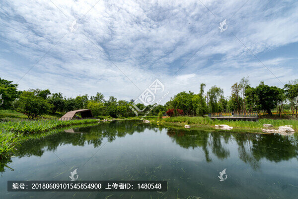 成都天府新區(qū)天府公園風(fēng)光