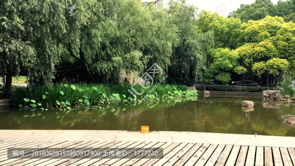公園一角