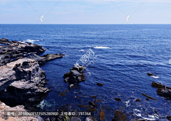大海