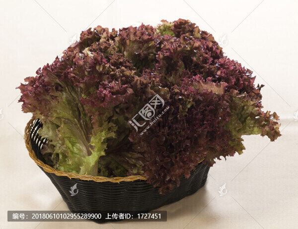 生菜