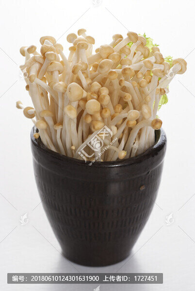 金針菇