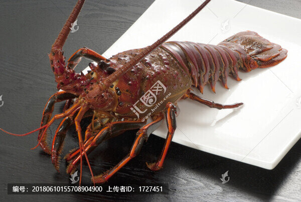 龍蝦