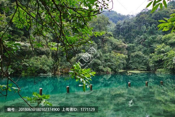 鼎湖山公園