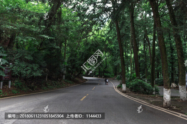 林間公路