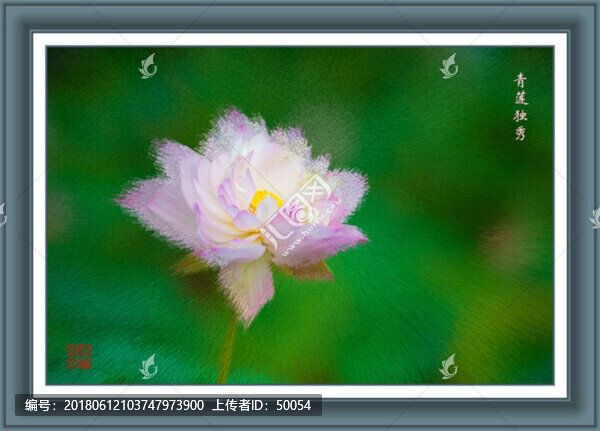 蓮花,荷花,抽象畫,裝飾畫