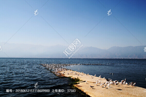 大理洱海風(fēng)光