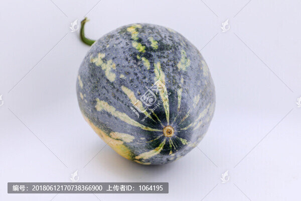 南瓜特寫花紋