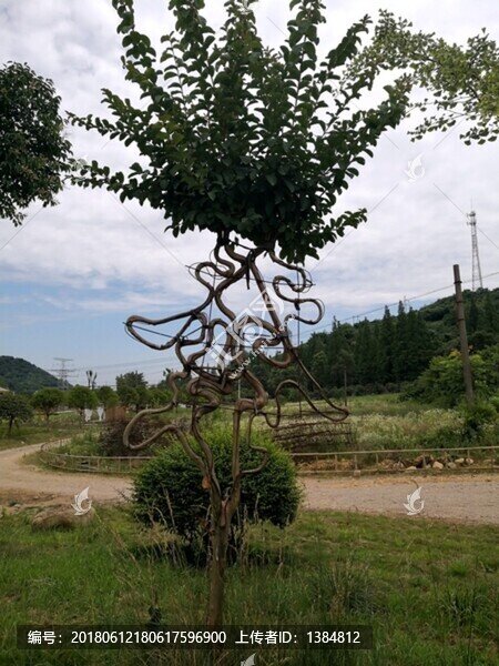 創(chuàng)意紫薇樹(shù)