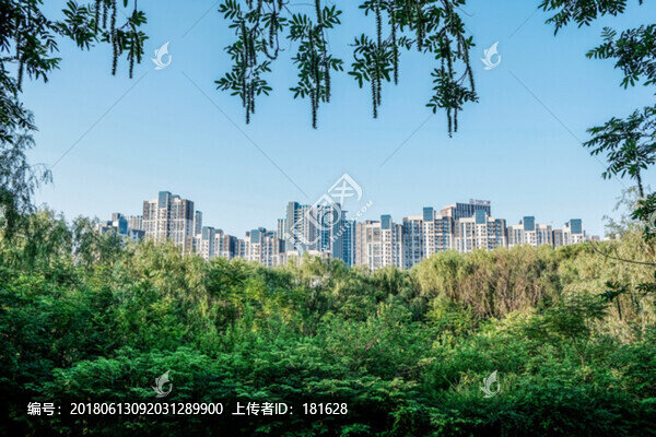 城市公園