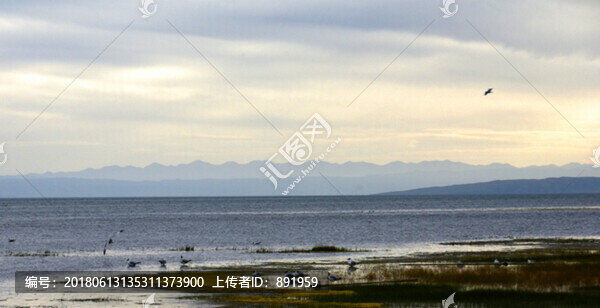 青海湖風(fēng)光