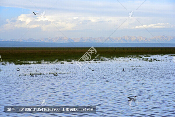 青海湖風(fēng)光