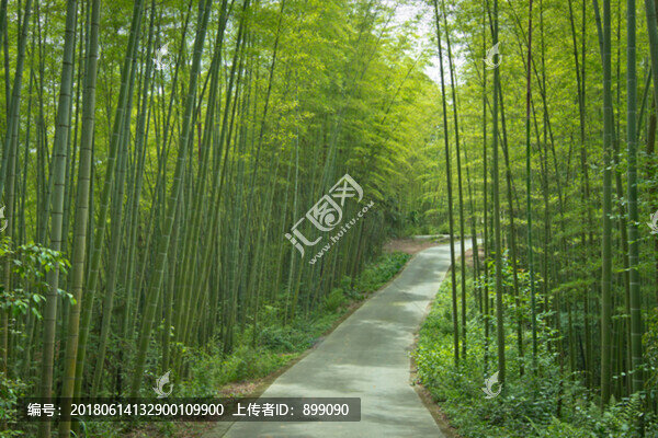 竹林小路