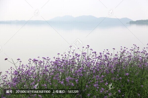 東湖綠道風(fēng)景