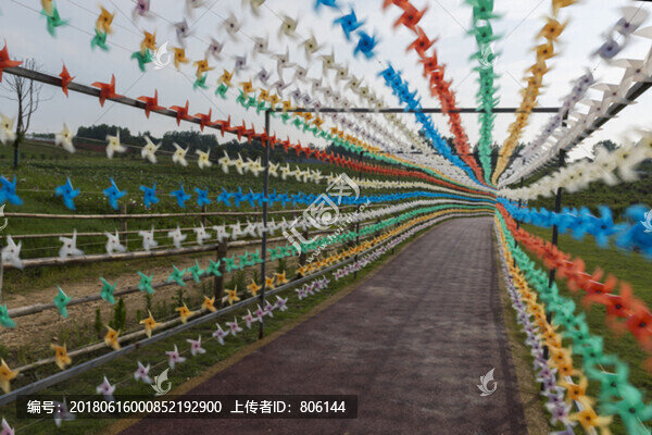 風(fēng)車(chē)