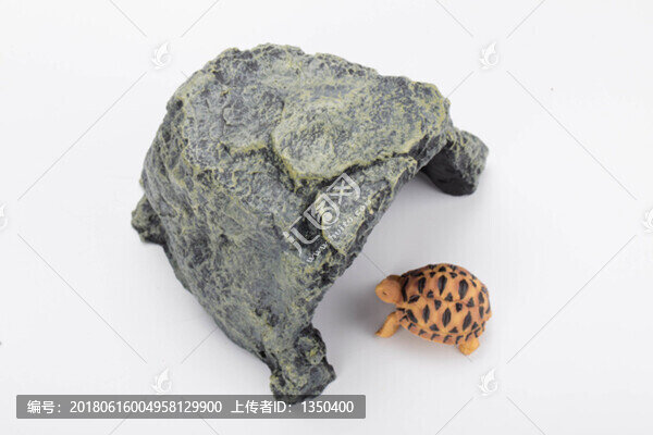 寵物烏龜模型