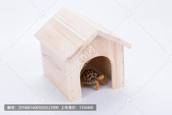 寵物烏龜模型
