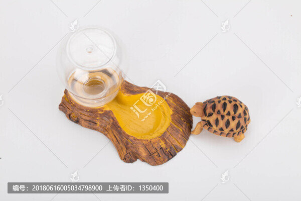寵物烏龜模型