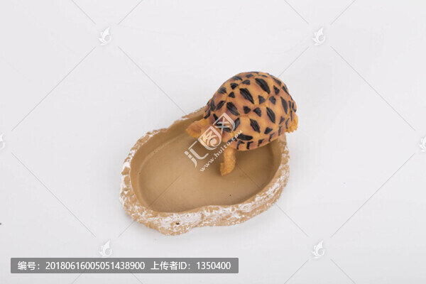 寵物烏龜模型