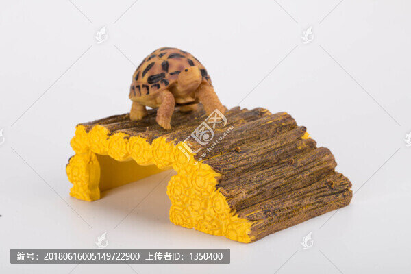 寵物烏龜模型